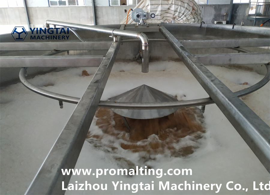 IMG_20220807_074943_副本