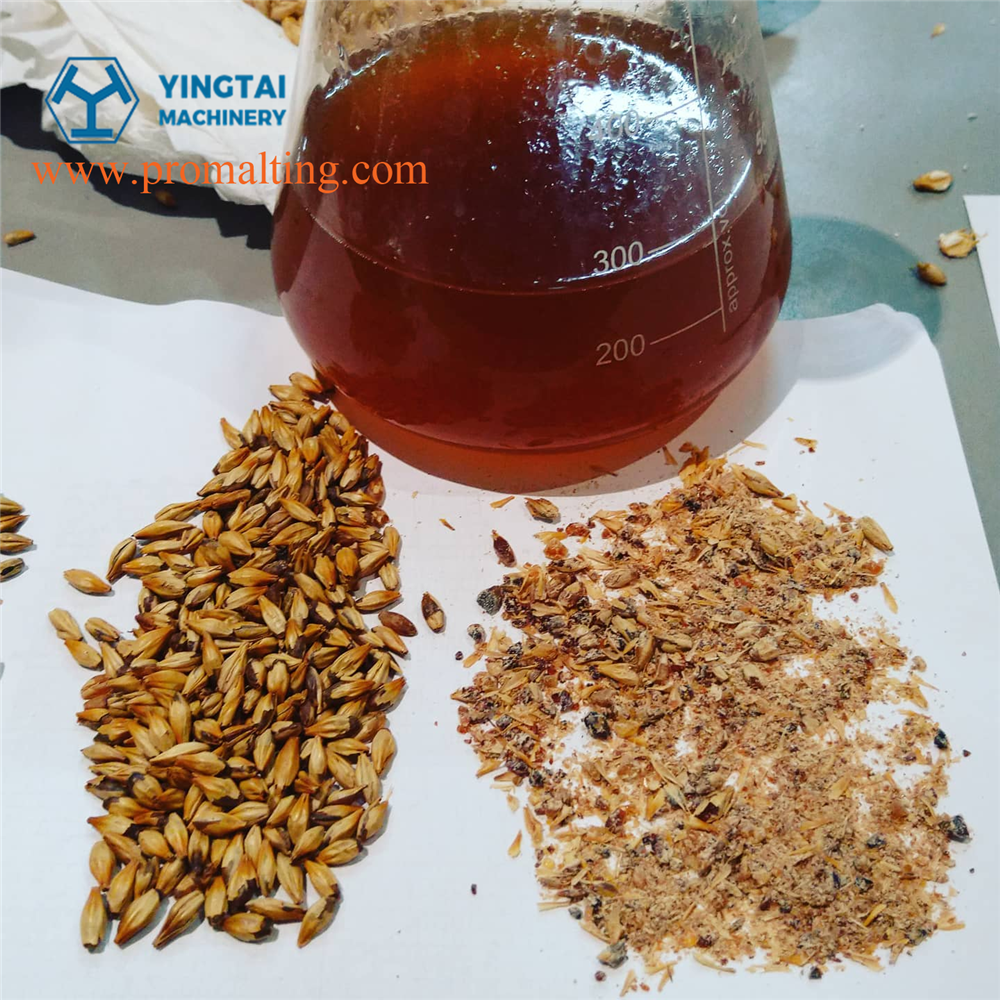 Фреч Ростер-3