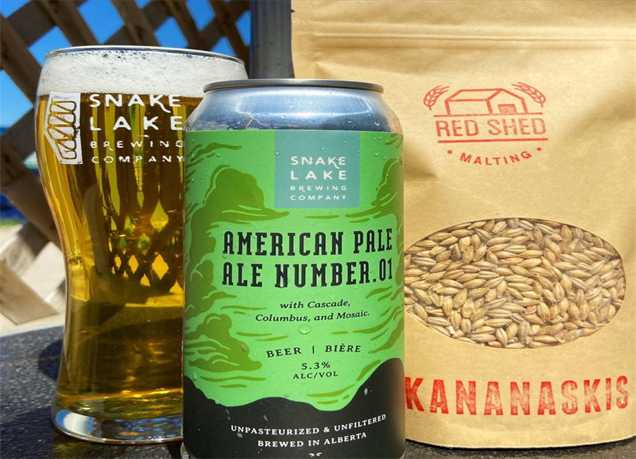 298434898_2325947287555453_1968601842413948038_n