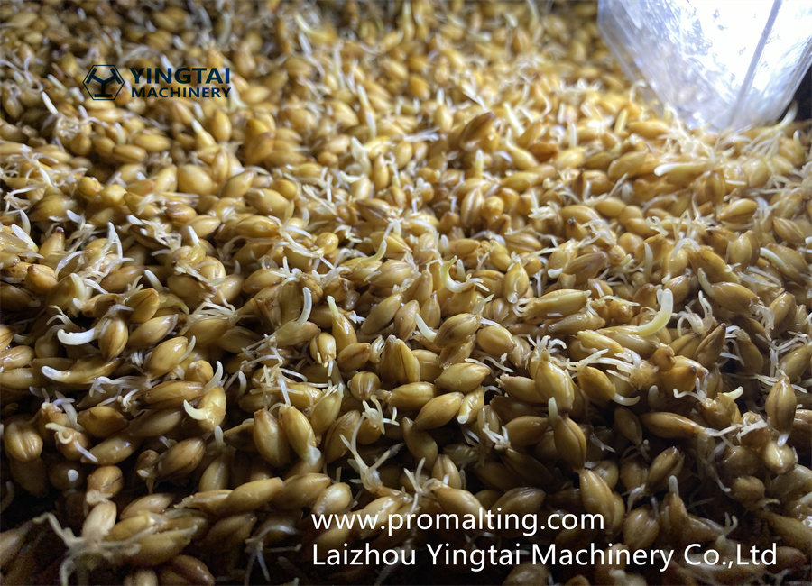 微信图片_20220812220208_副本