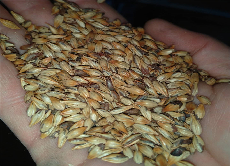 152039917_514943753240005_1199827624141740307_о