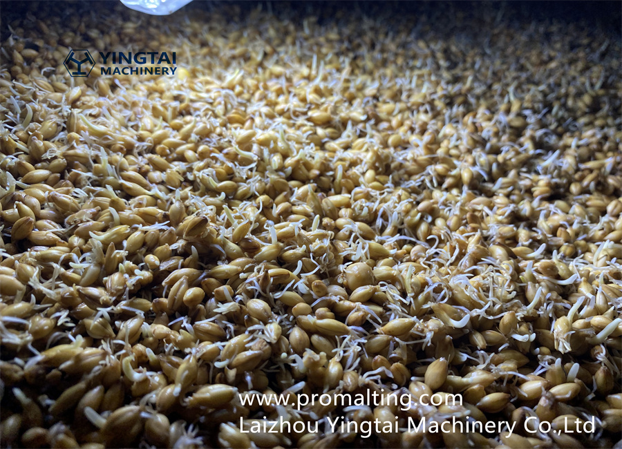 微信图片_20220812220217_副本