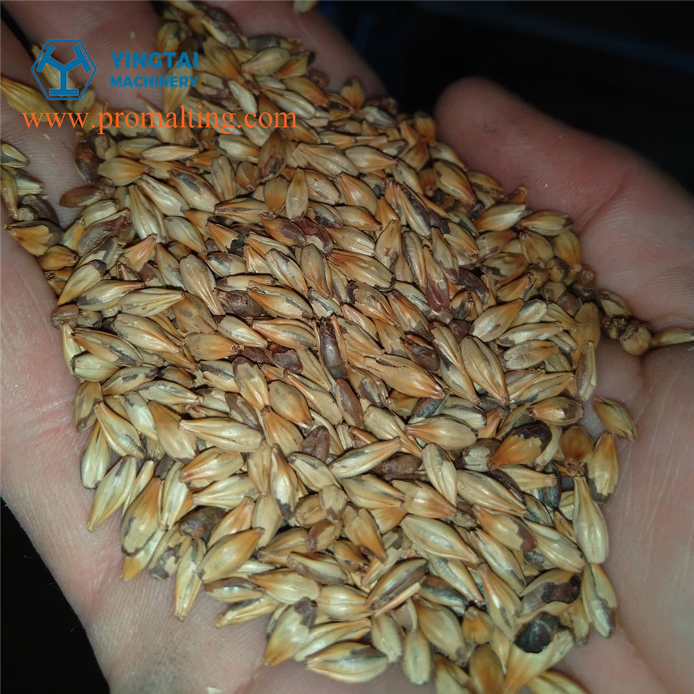 Фреч Ростер-2