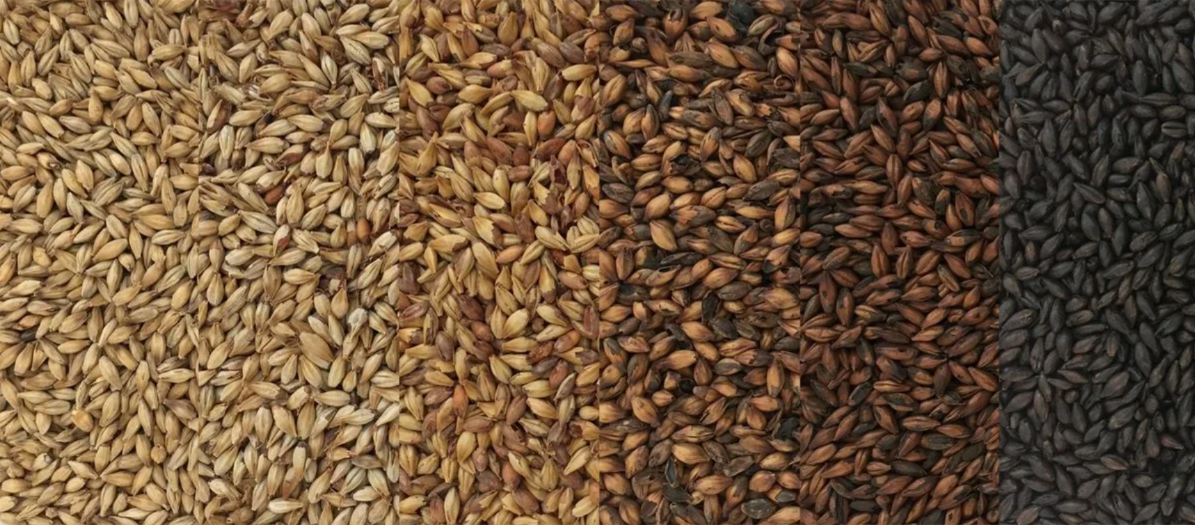 微信图片_20220406102902_副本