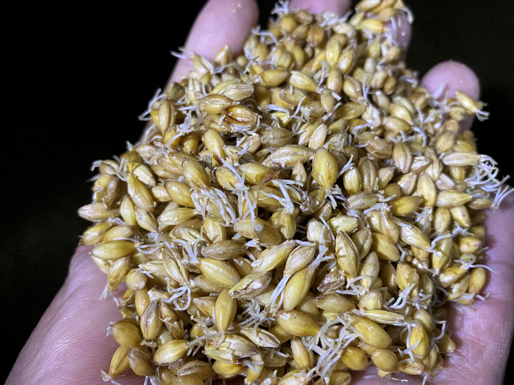 Уругвай 10tx2 барабаны-4