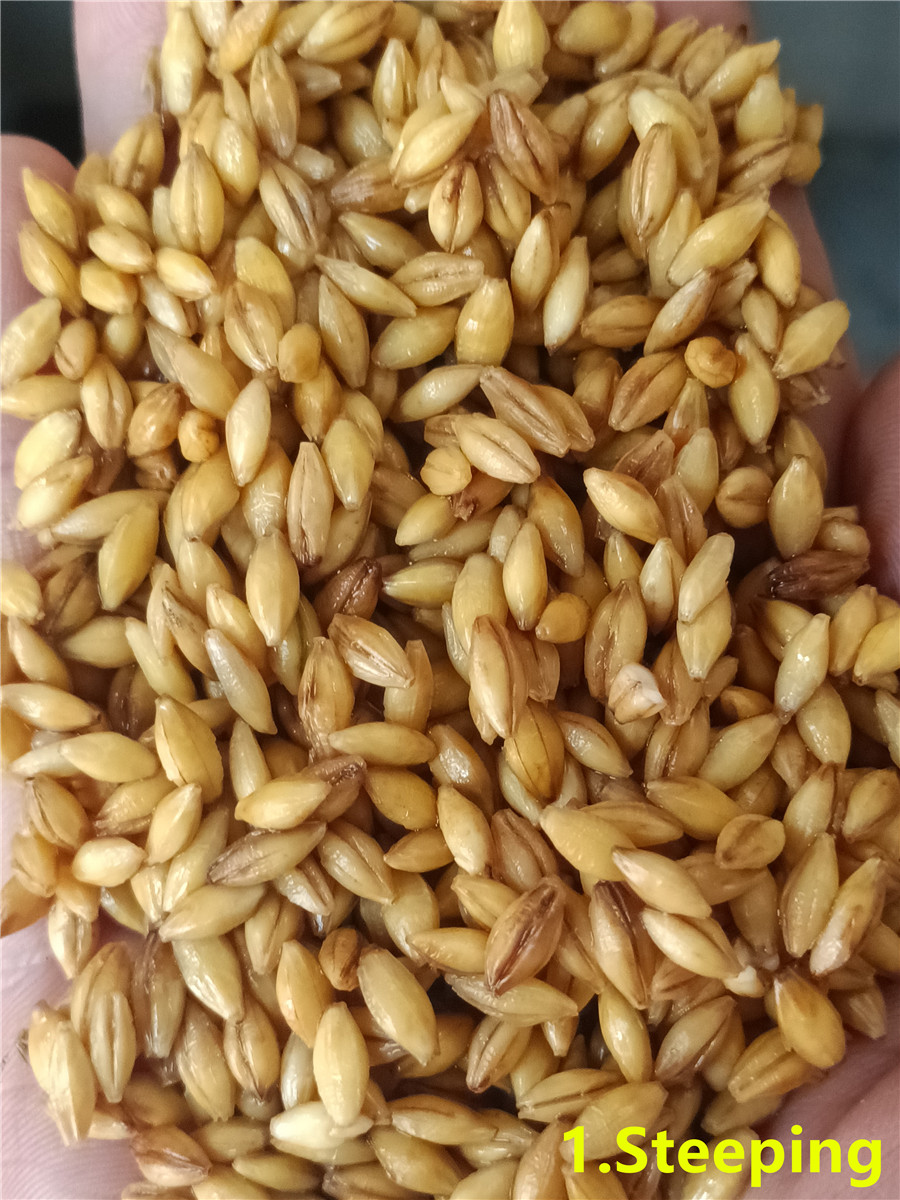 1 Замачивание_副本