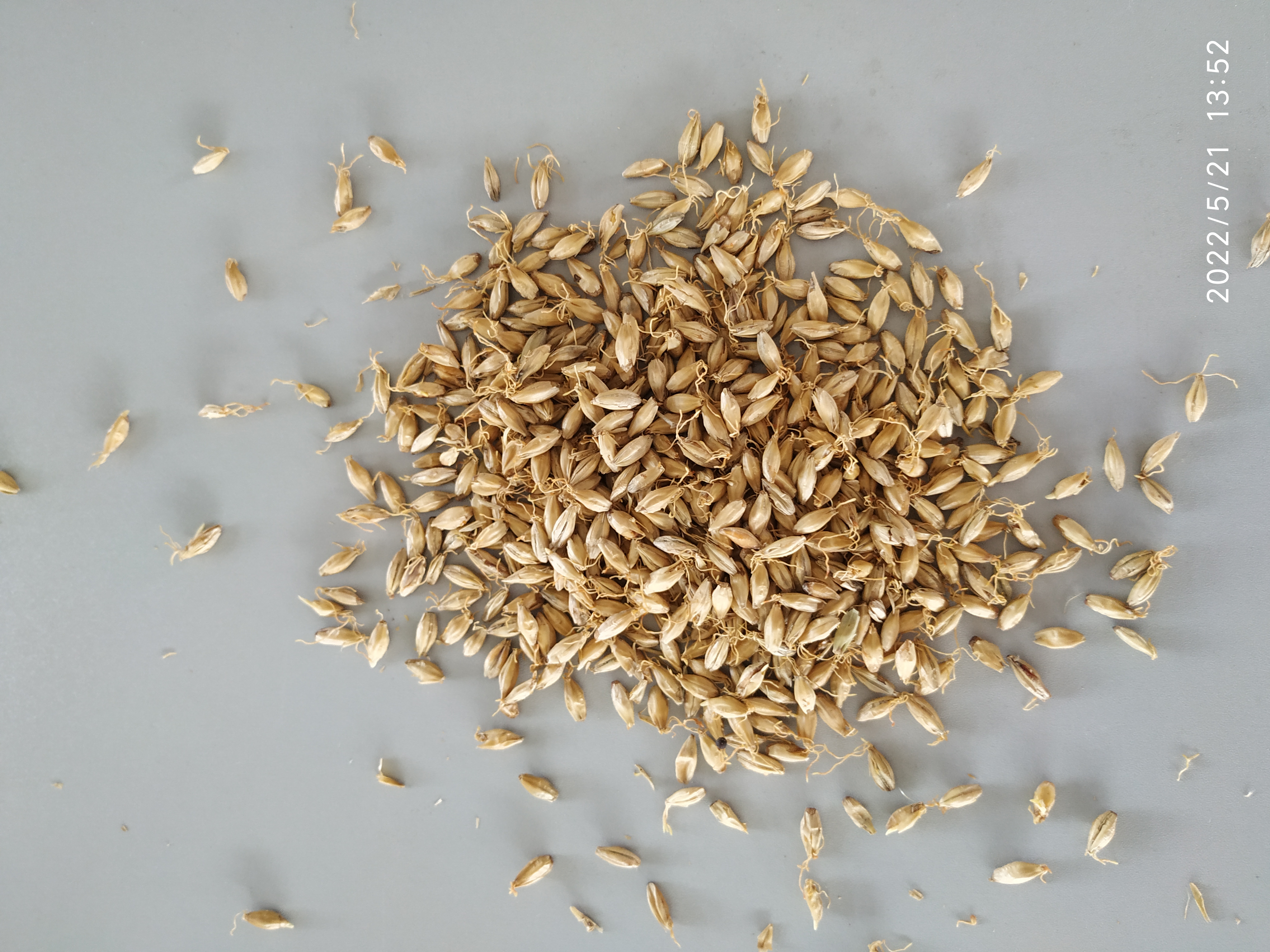 Обожженный солод